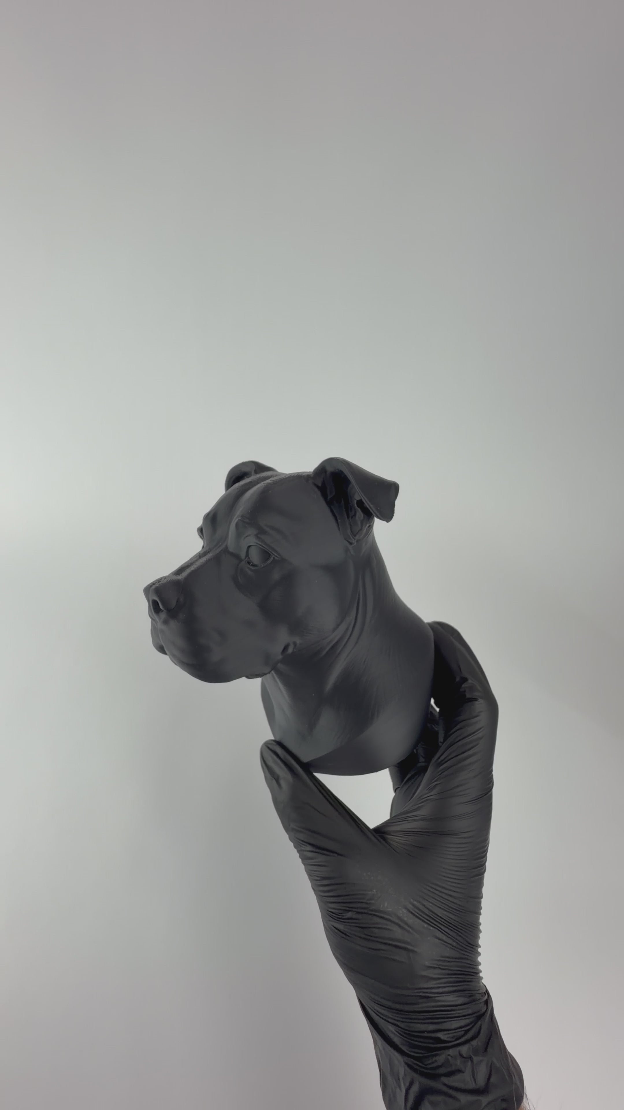 Paint your own - Staffordshire Bull Terrier Bust
